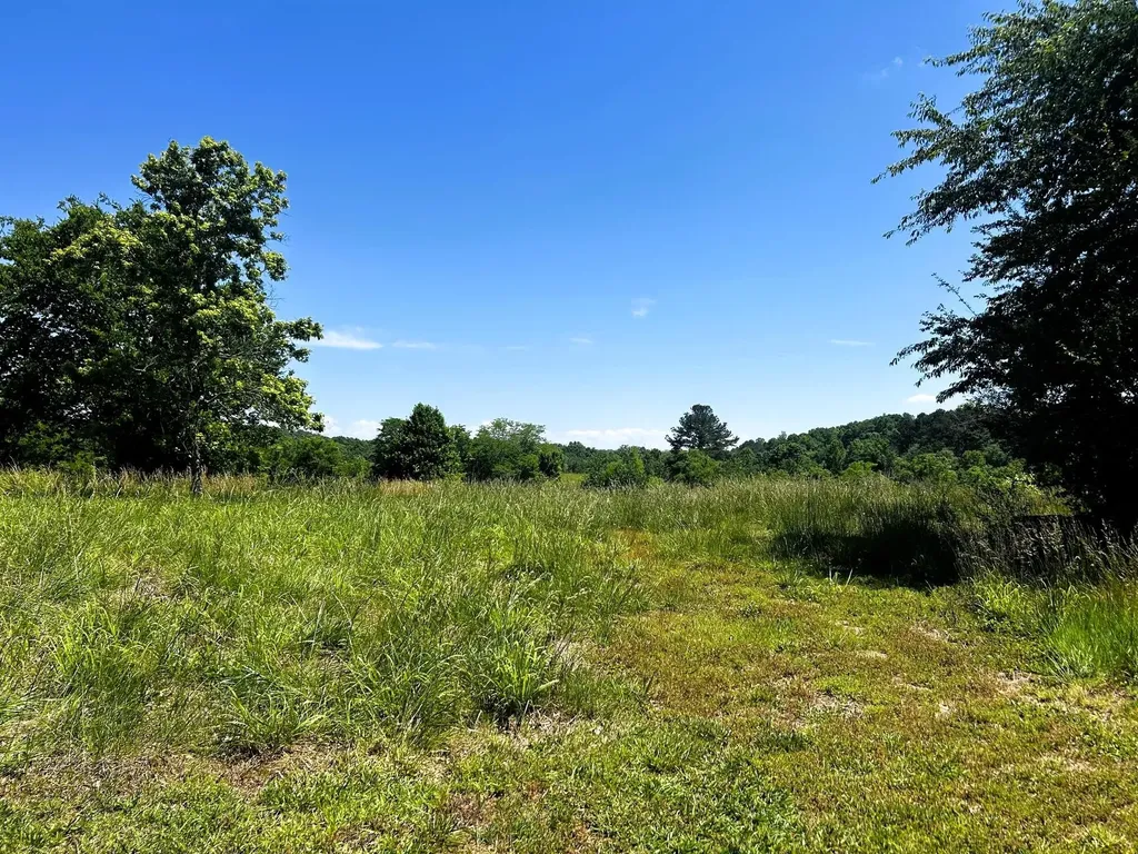 573 S Judd Road Decatur TN 37322