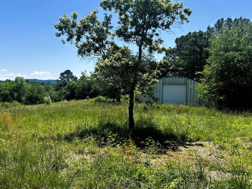 573 S Judd Road Decatur TN 37322