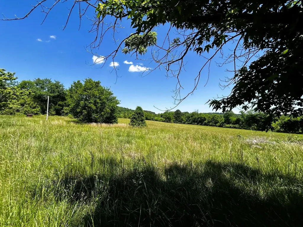 573 S Judd Road Decatur TN 37322