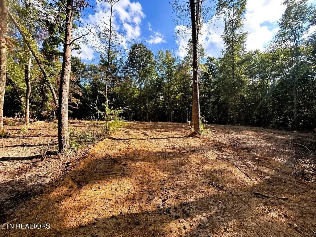 55 Pleasant Hill Road Ten Mile TN 37880