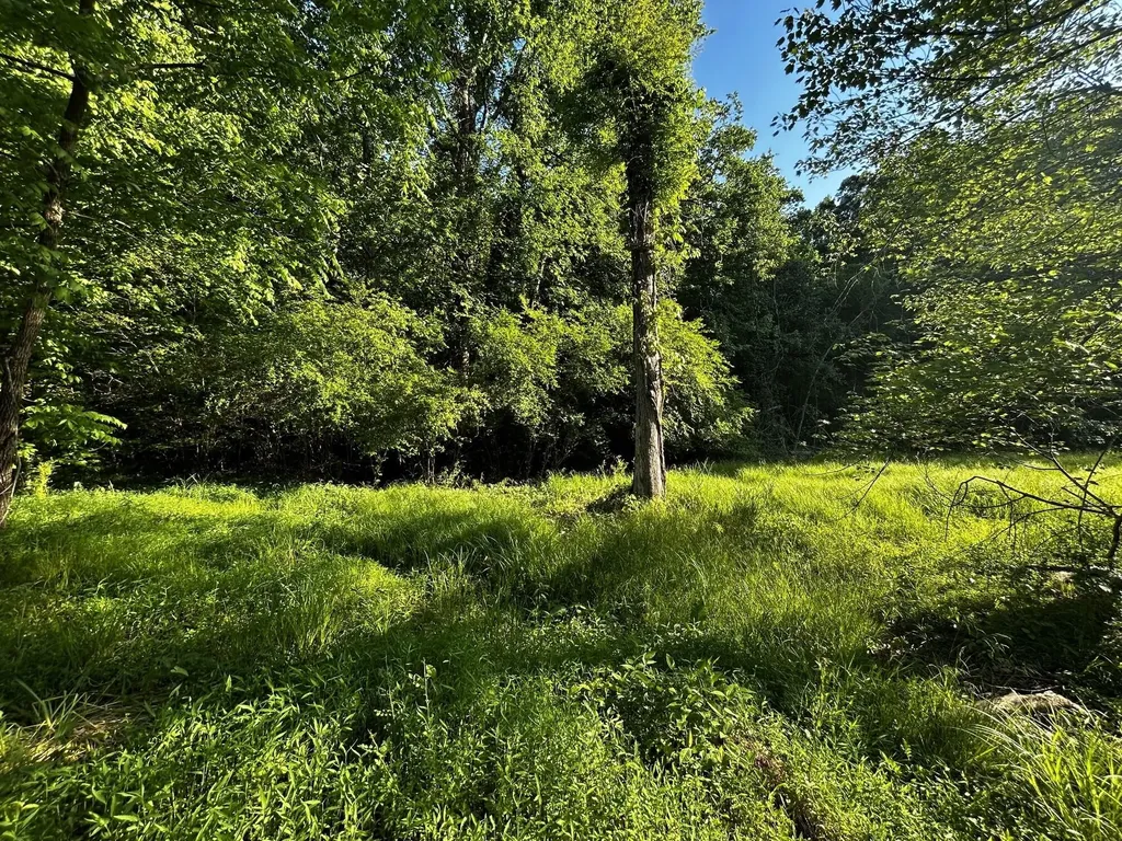 10 Pleasant Hill Road Ten Mile TN 37880