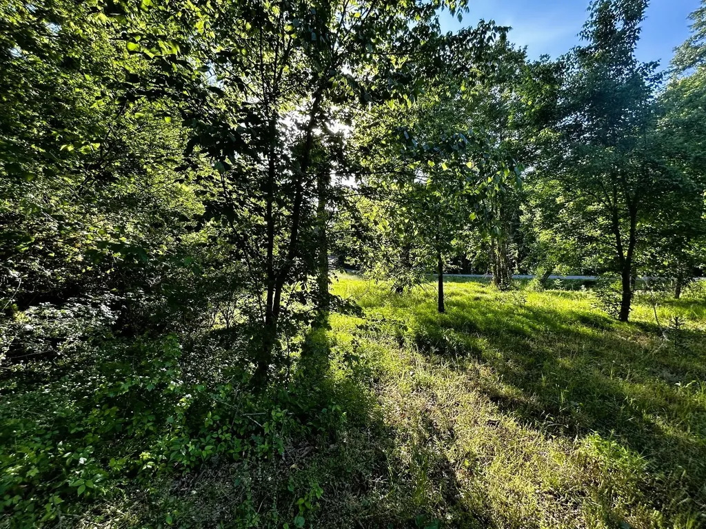 10 Pleasant Hill Road Ten Mile TN 37880