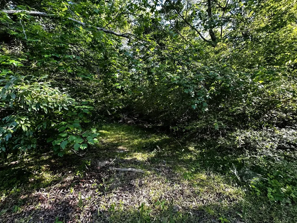 10 Pleasant Hill Road Ten Mile TN 37880