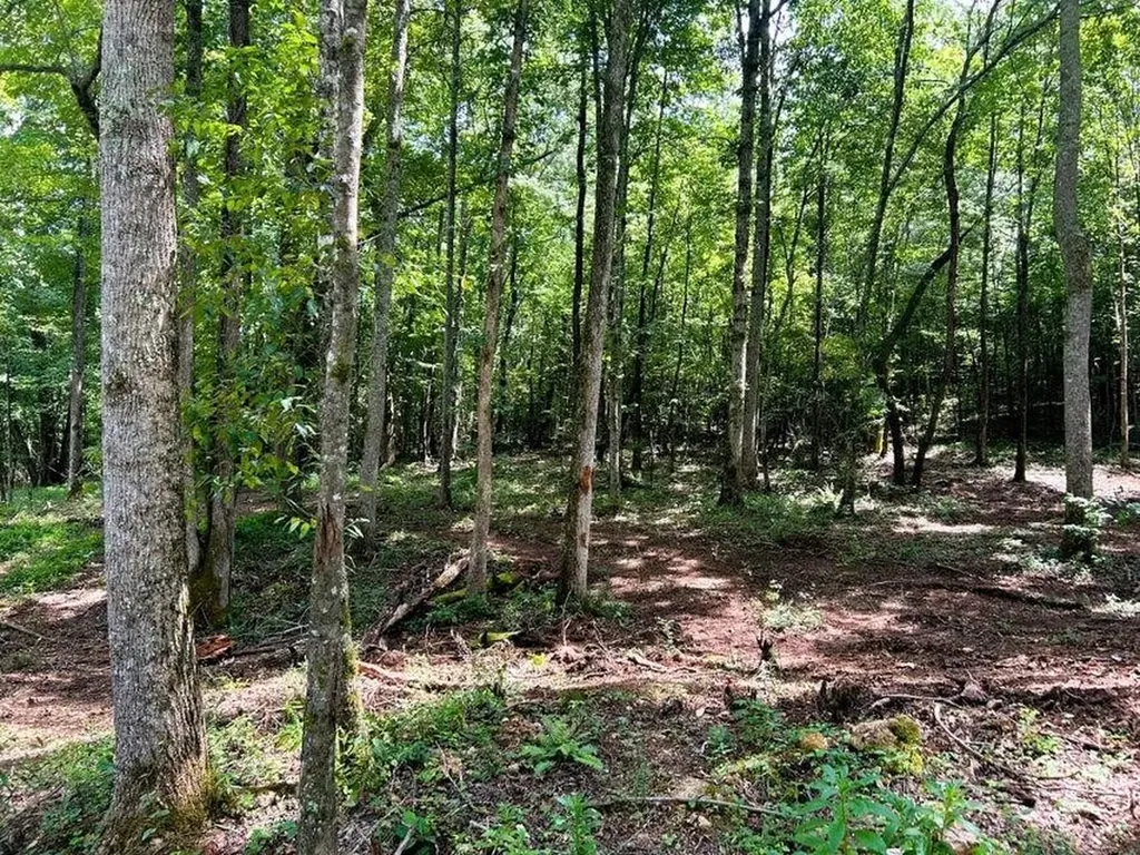 8 Pleasant Hill Road Ten Mile TN 37880