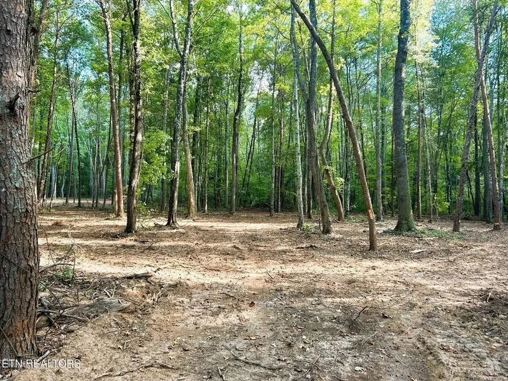 5 Pleasant Hill Road Ten Mile TN 37880