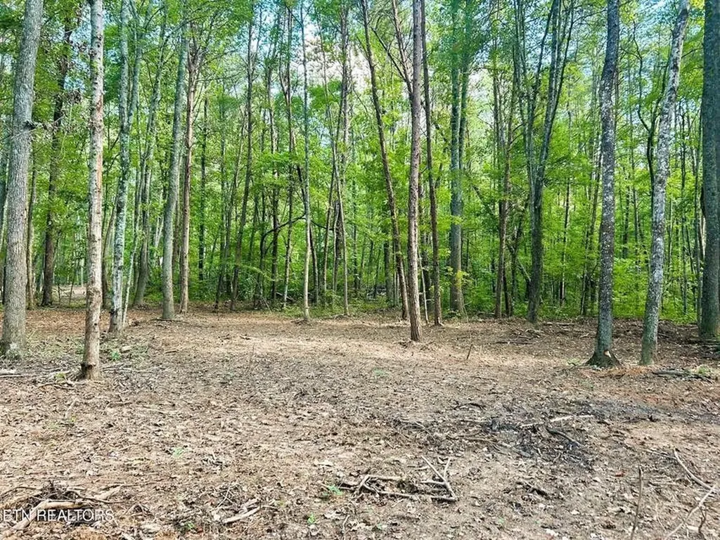 5 Pleasant Hill Road Ten Mile TN 37880