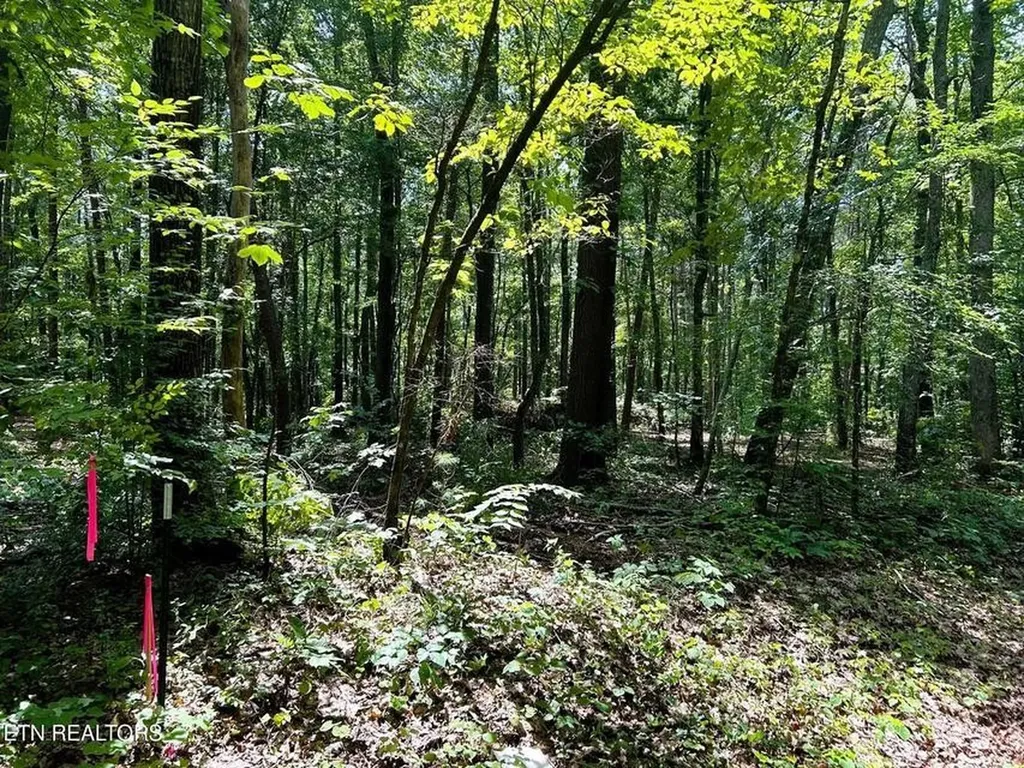 5 Pleasant Hill Road Ten Mile TN 37880