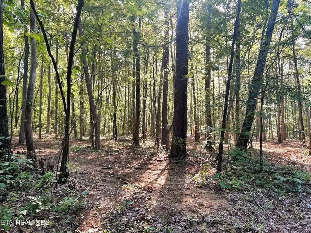 5 Pleasant Hill Road Ten Mile TN 37880