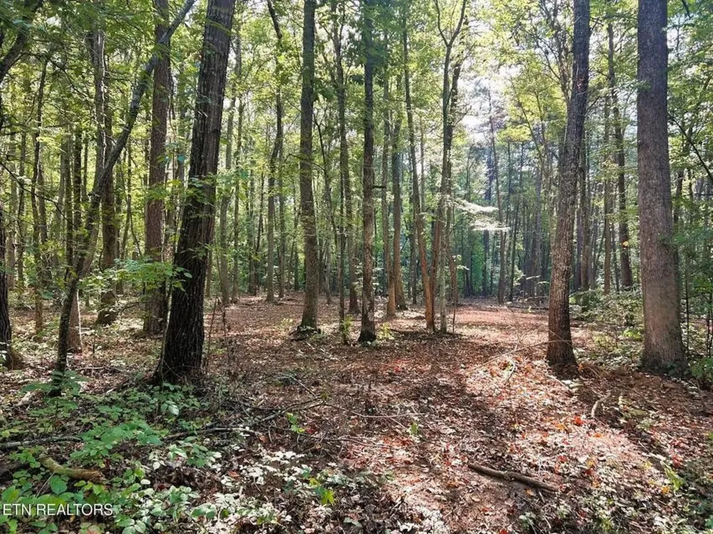 5 Pleasant Hill Road Ten Mile TN 37880