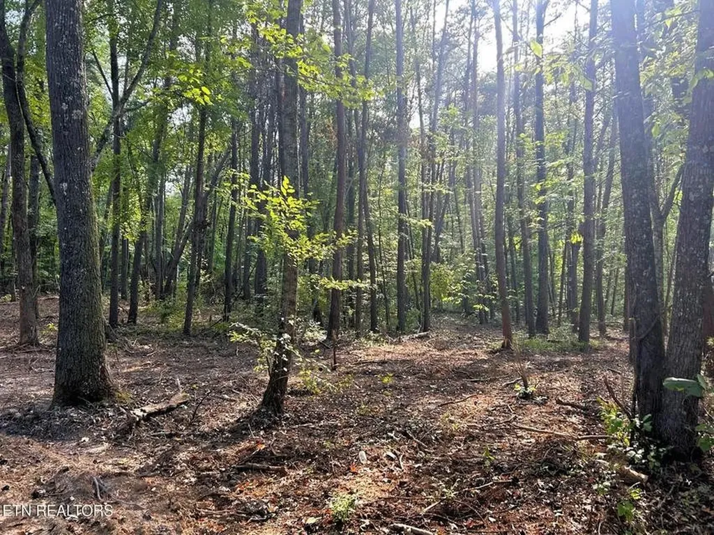 5 Pleasant Hill Road Ten Mile TN 37880