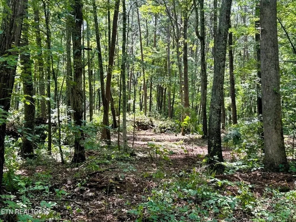 5 Pleasant Hill Road Ten Mile TN 37880
