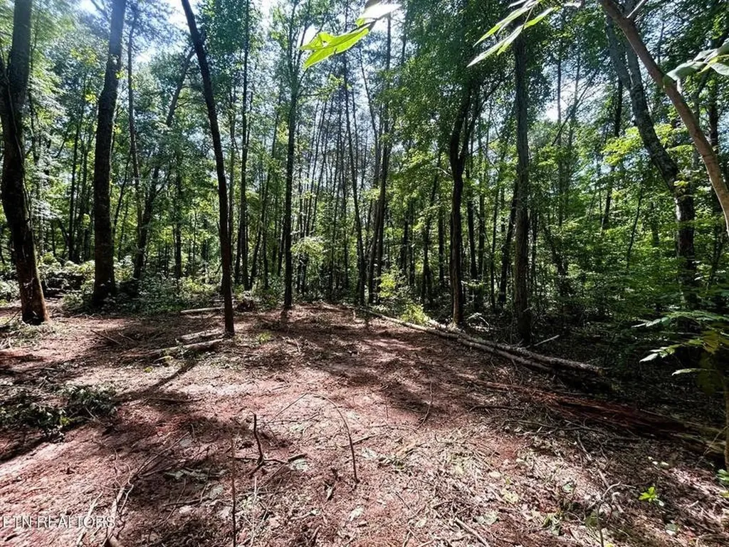 5 Pleasant Hill Road Ten Mile TN 37880