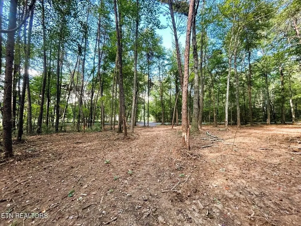 5 Pleasant Hill Road Ten Mile TN 37880