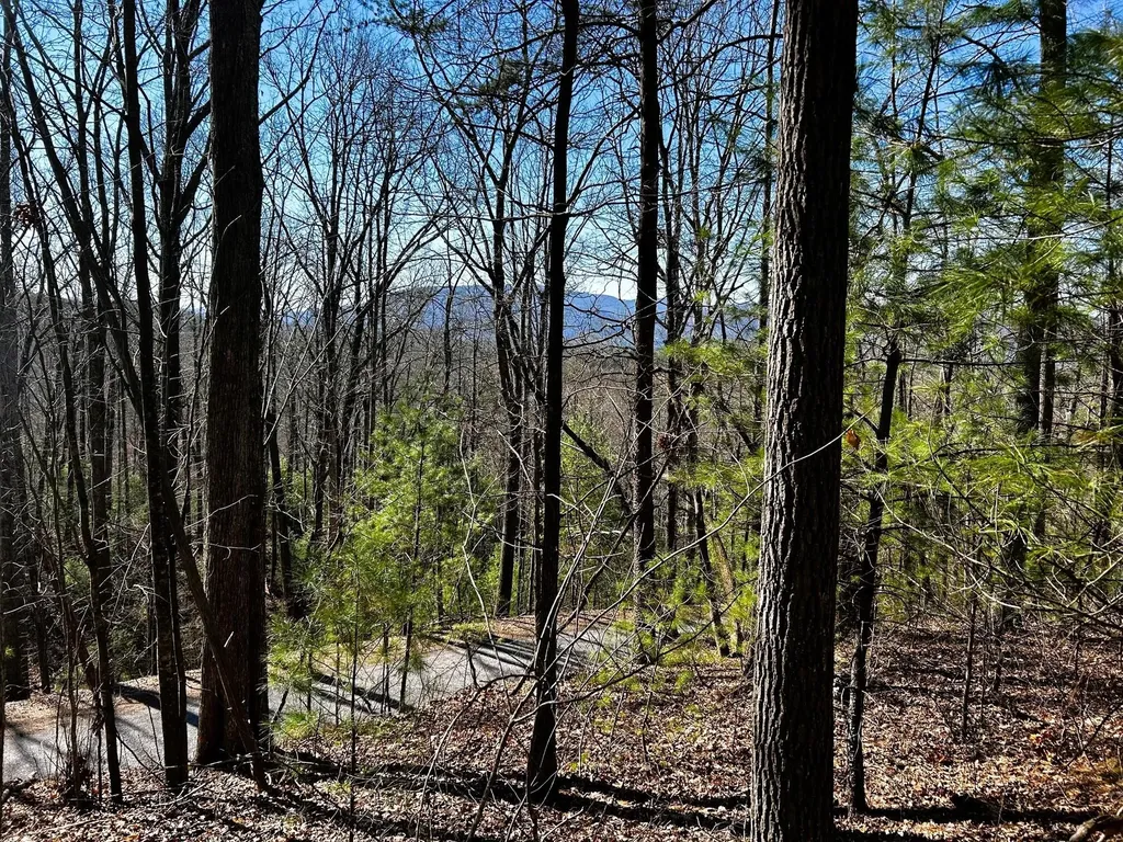 107125 Chestnut Mountain Road Reliance TN 37369