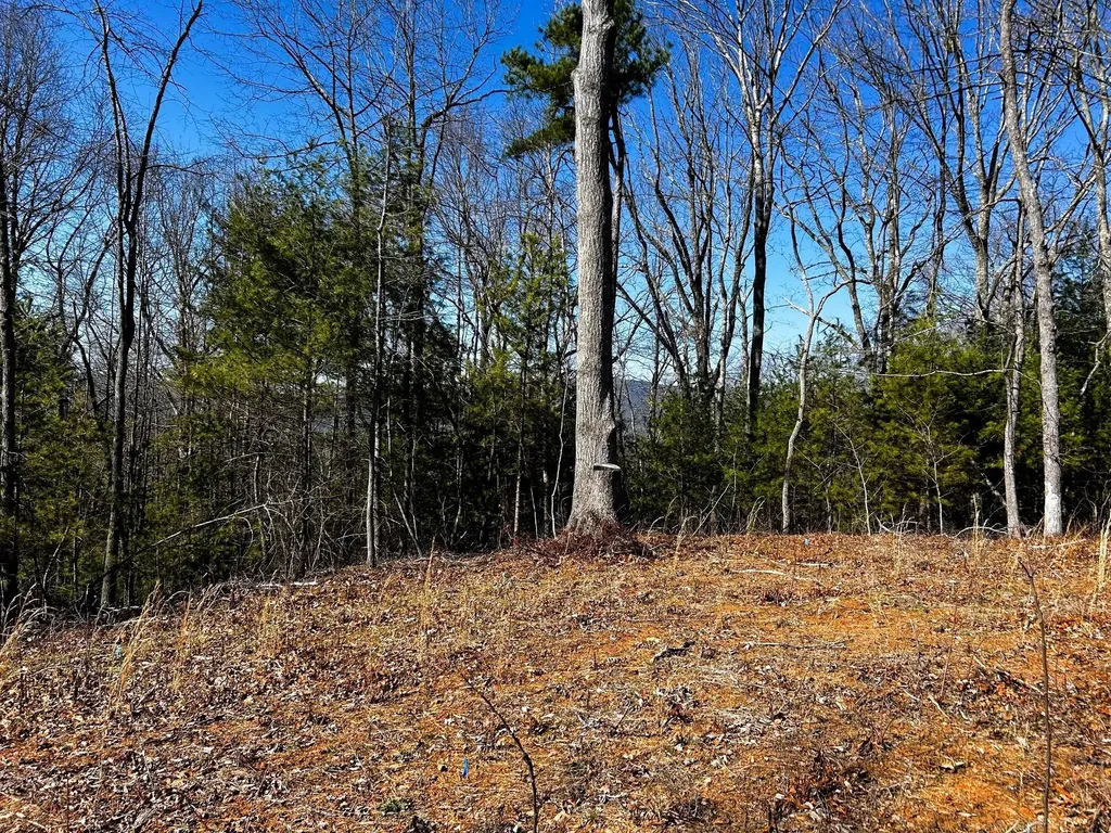 107125 Chestnut Mountain Road Reliance TN 37369