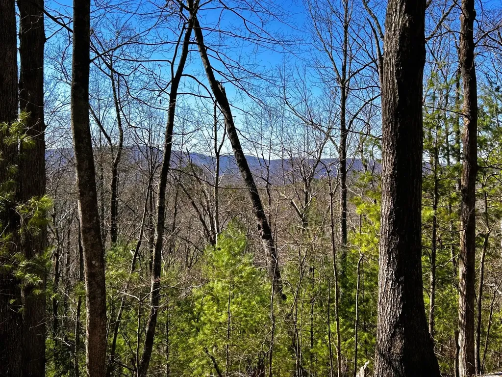 107125 Chestnut Mountain Road Reliance TN 37369