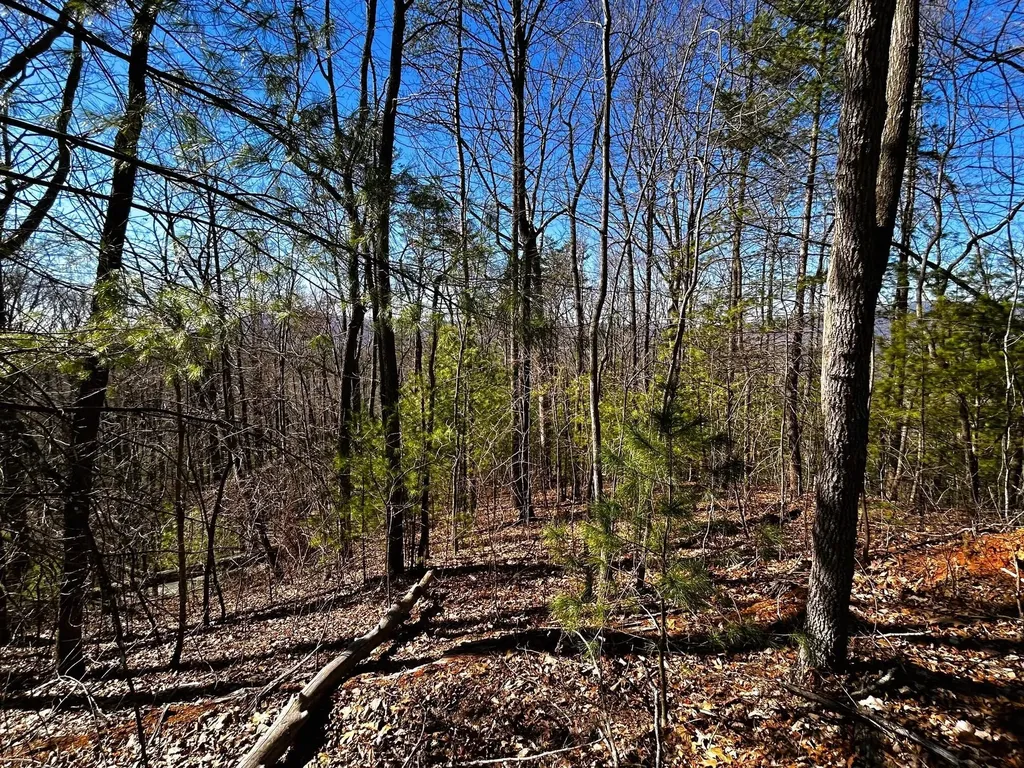 107125 Chestnut Mountain Road Reliance TN 37369