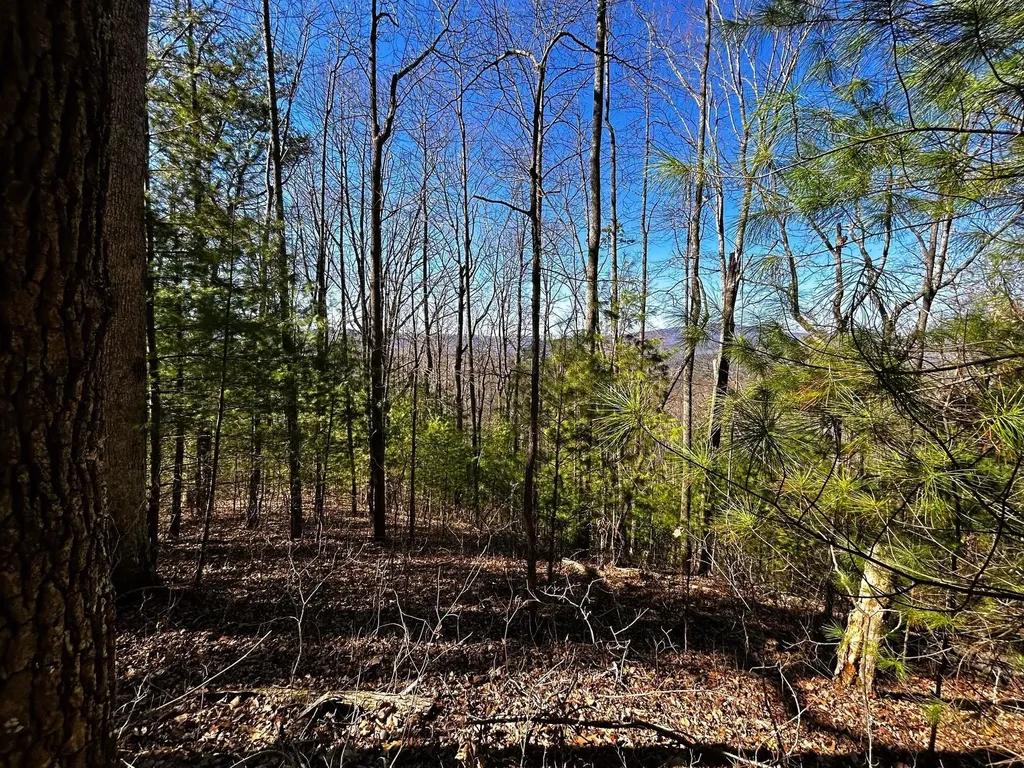 107125 Chestnut Mountain Road Reliance TN 37369