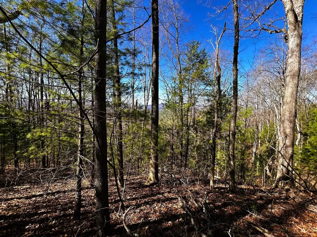 107125 Chestnut Mountain Road Reliance TN 37369