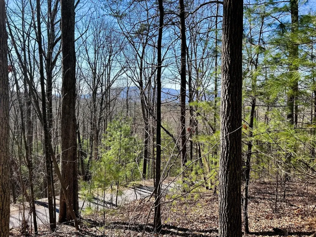 107125 Chestnut Mountain Road Reliance TN 37369