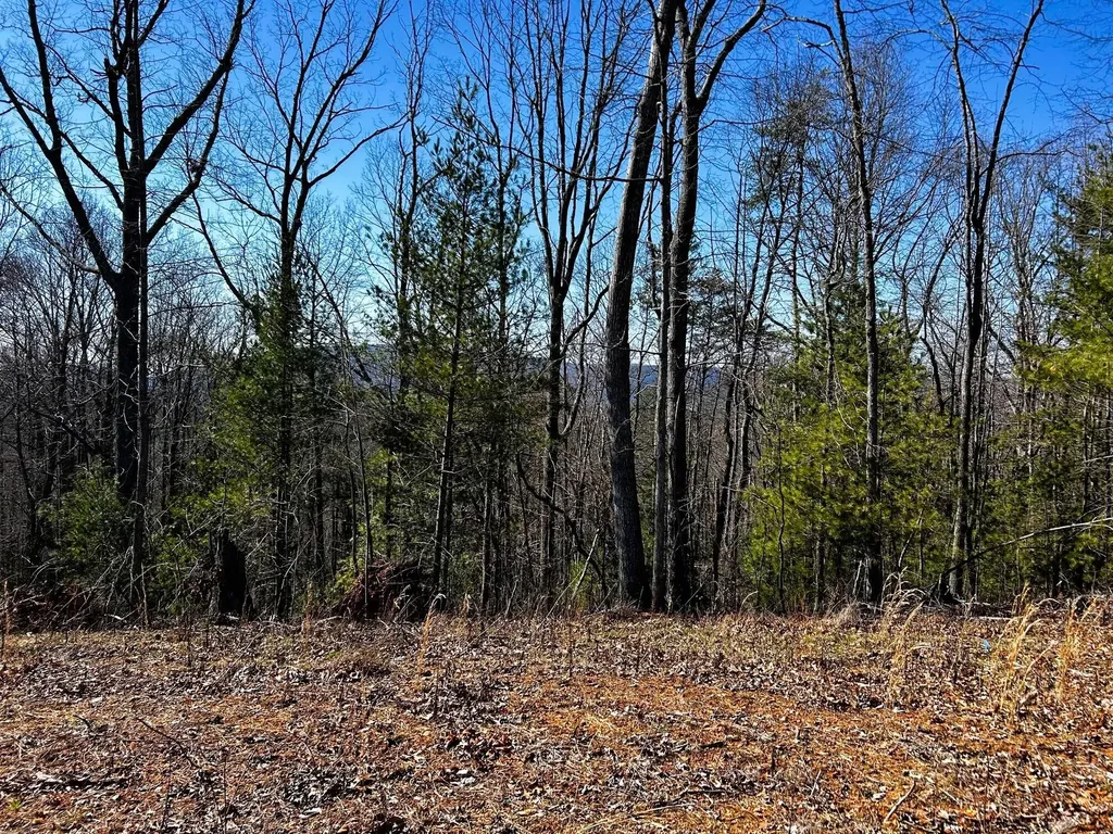 107125 Chestnut Mountain Road Reliance TN 37369