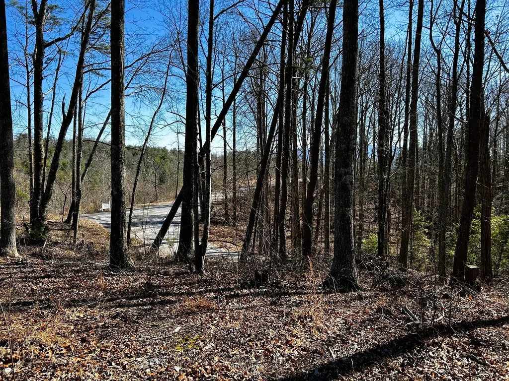 107125 Chestnut Mountain Road Reliance TN 37369