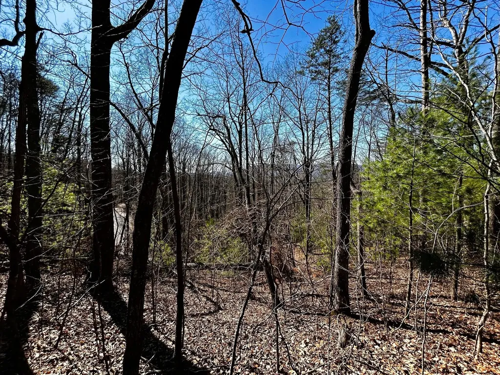 107125 Chestnut Mountain Road Reliance TN 37369