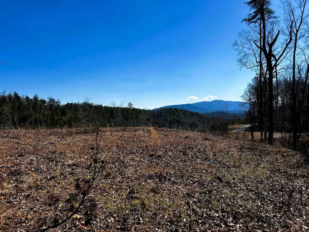 107125 Chestnut Mountain Road Reliance TN 37369