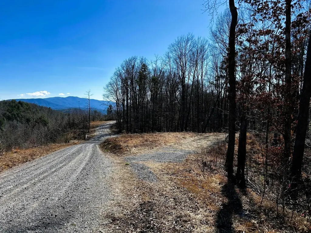 107125 Chestnut Mountain Road Reliance TN 37369