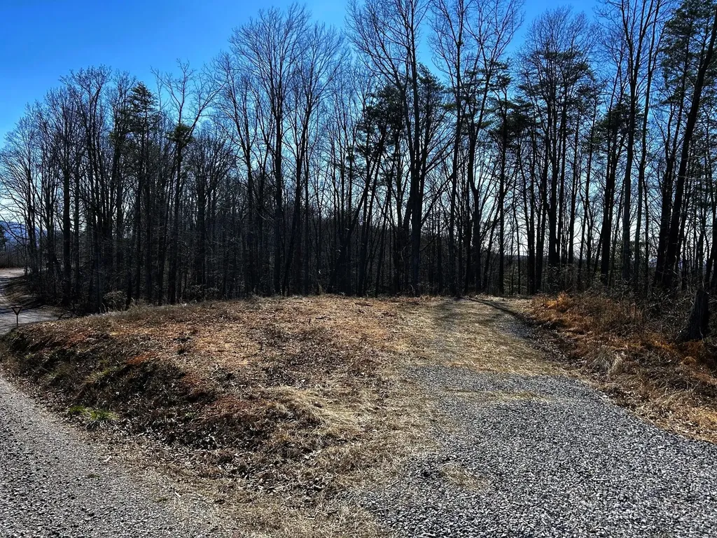 107125 Chestnut Mountain Road Reliance TN 37369