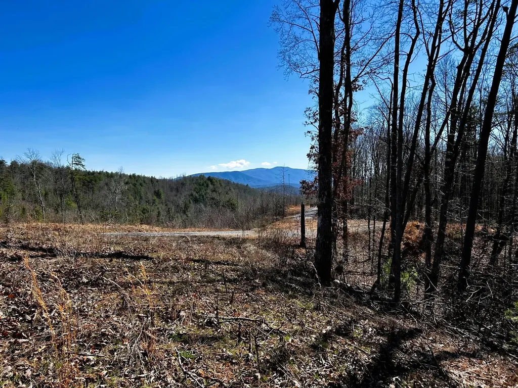 107125 Chestnut Mountain Road Reliance TN 37369
