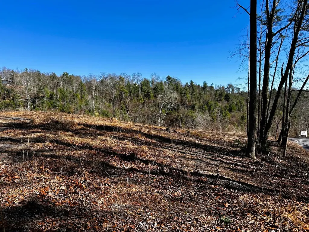 107125 Chestnut Mountain Road Reliance TN 37369
