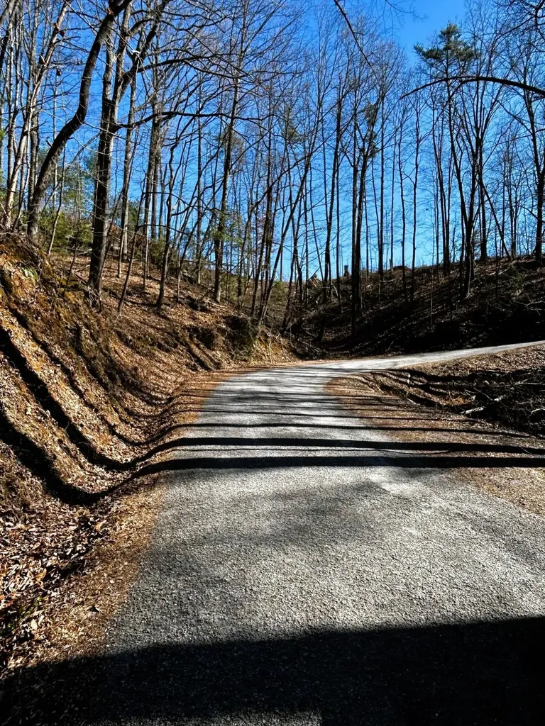 107125 Chestnut Mountain Road Reliance TN 37369