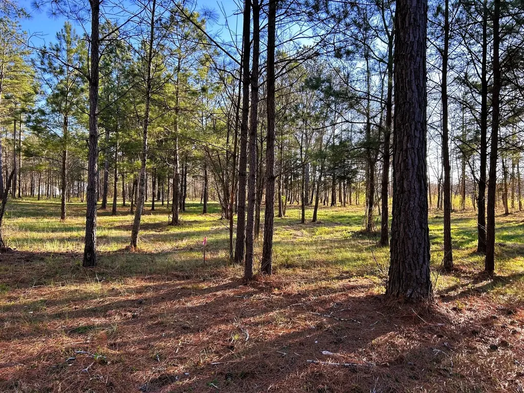 4 County Road 950 Calhoun TN 37309
