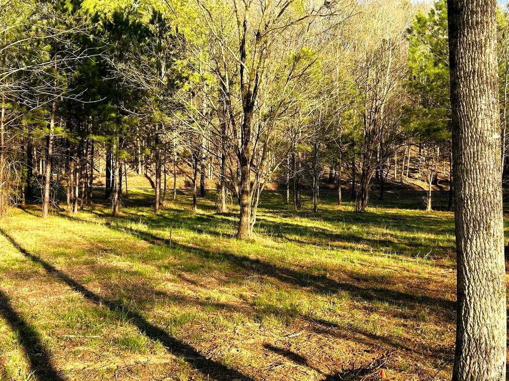 4 County Road 950 Calhoun TN 37309