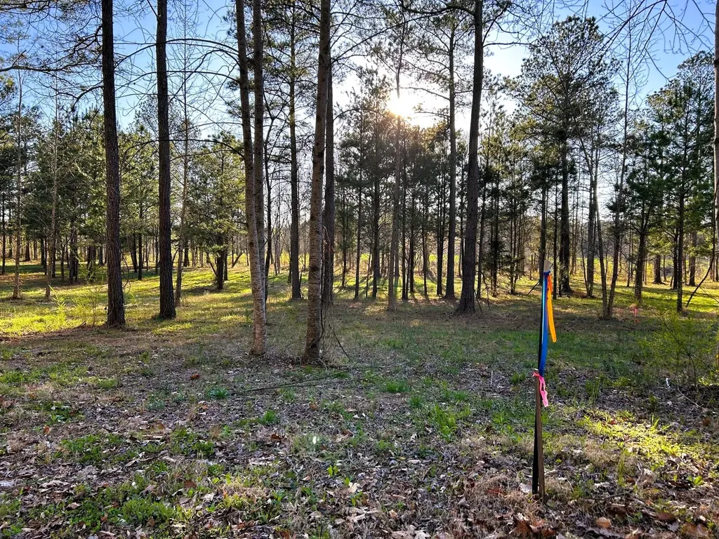 4 County Road 950 Calhoun TN 37309