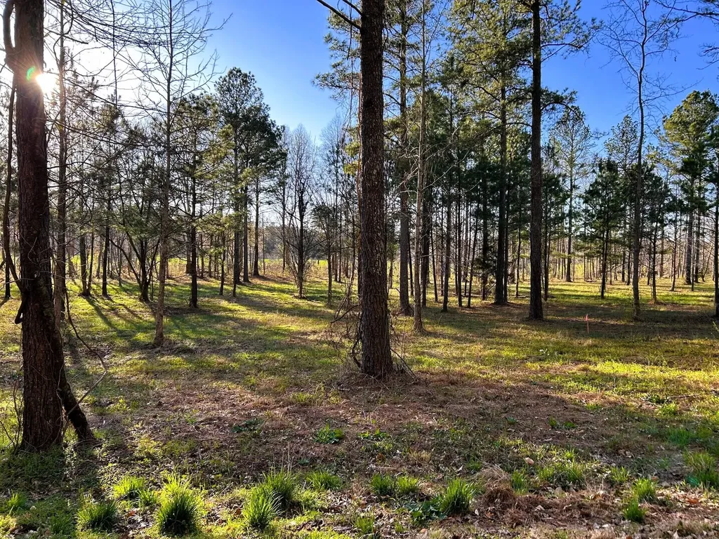 4 County Road 950 Calhoun TN 37309