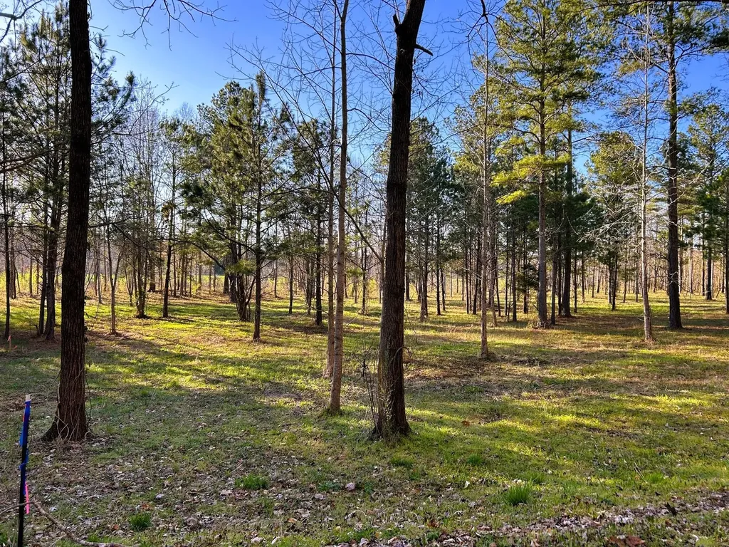 4 County Road 950 Calhoun TN 37309