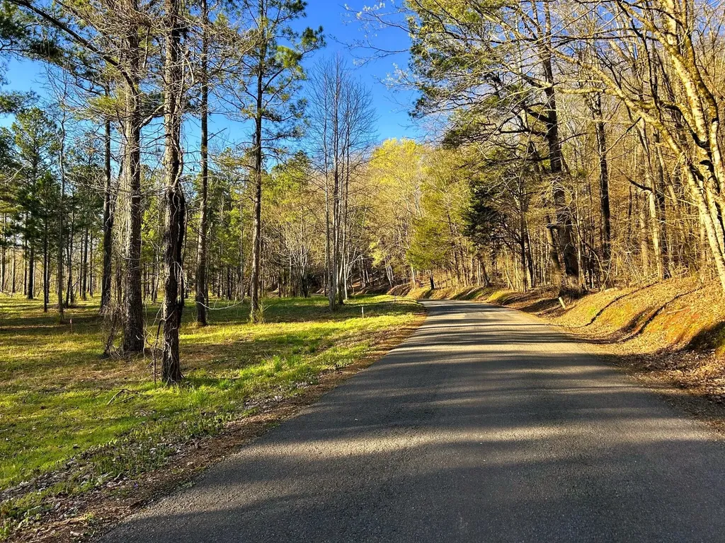 4 County Road 950 Calhoun TN 37309
