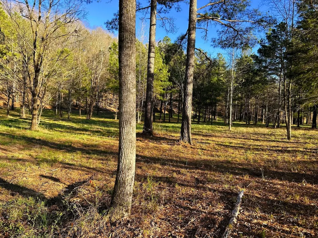 4 County Road 950 Calhoun TN 37309