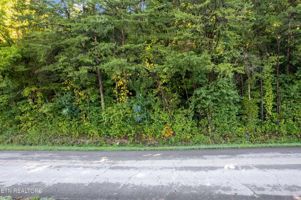 0 Delozier Lane Rockwood TN 37854