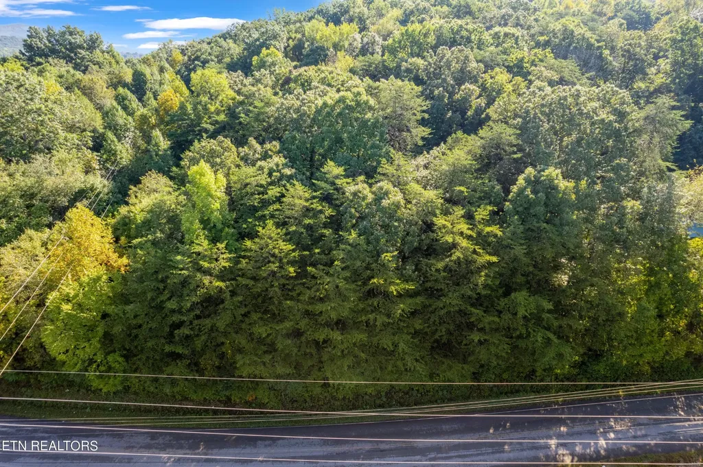 0 Delozier Lane Rockwood TN 37854