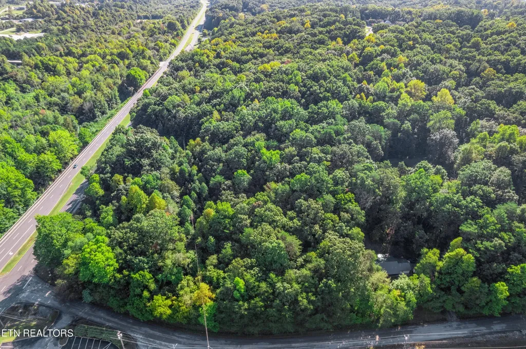 0 Delozier Lane Rockwood TN 37854