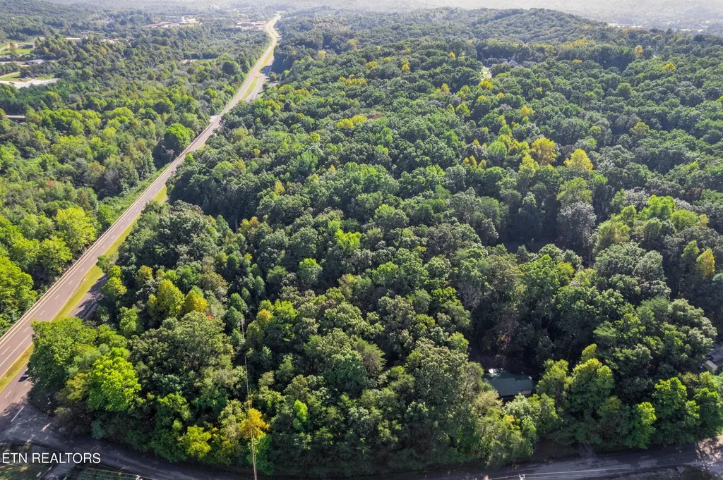 0 Delozier Lane Rockwood TN 37854