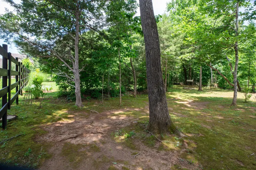 119 Macy Court Christiana TN 37037