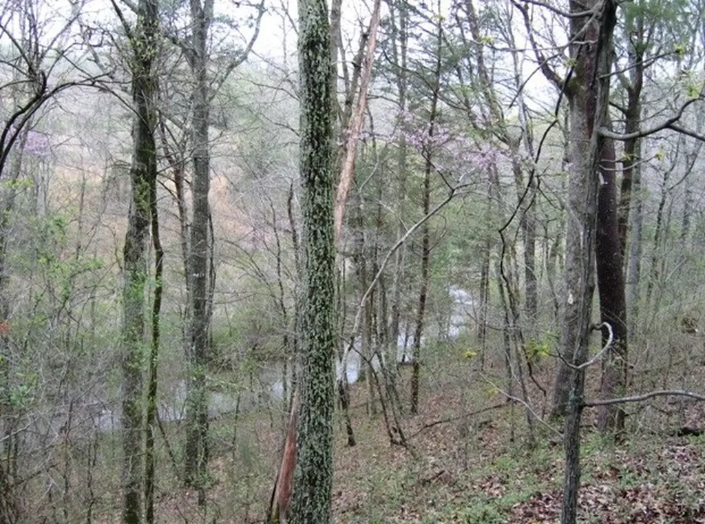 15 Watauga Lane Birchwood TN 37308