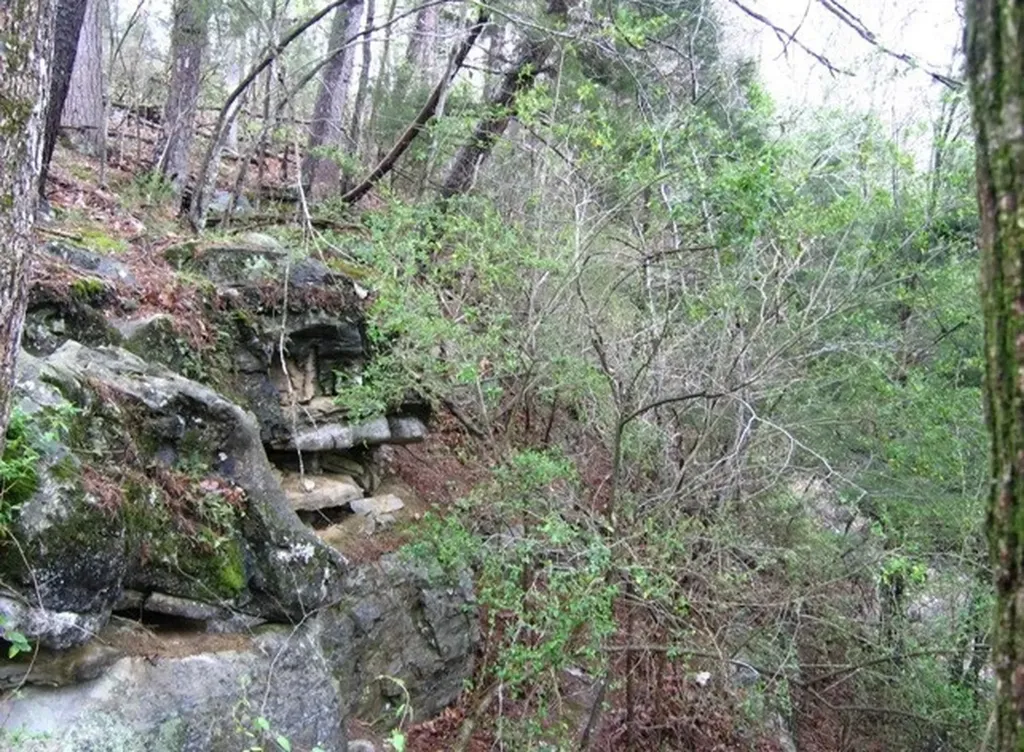 15 Watauga Lane Birchwood TN 37308