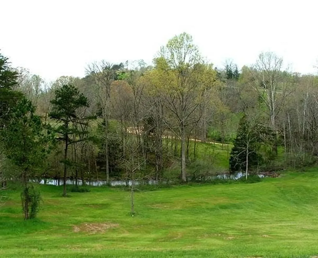 15 Watauga Lane Birchwood TN 37308
