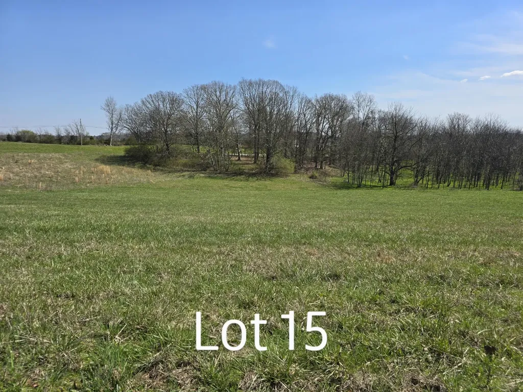 15 Watauga Lane Birchwood TN 37308