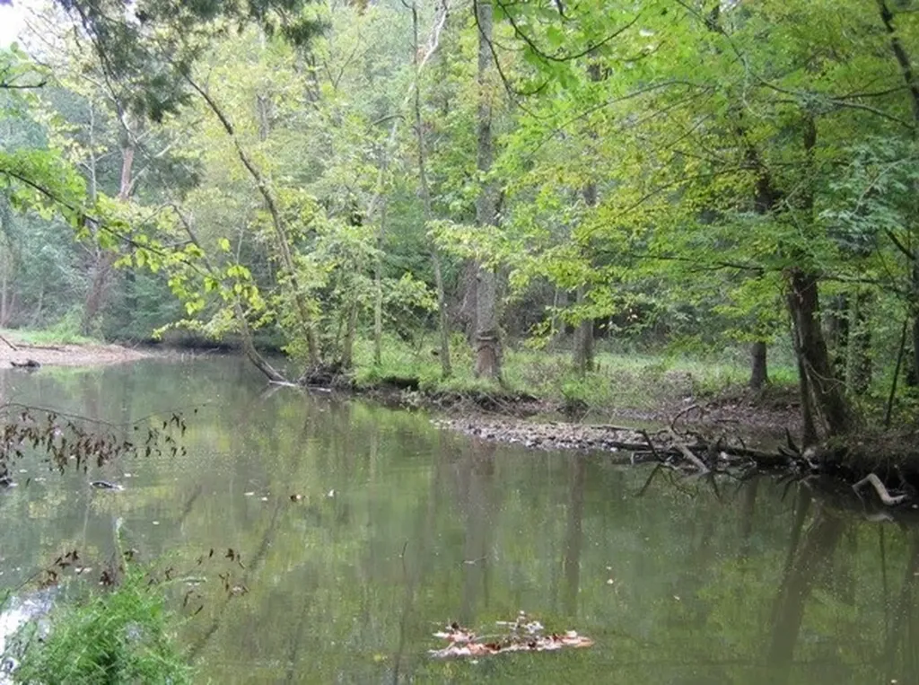 15 Watauga Lane Birchwood TN 37308